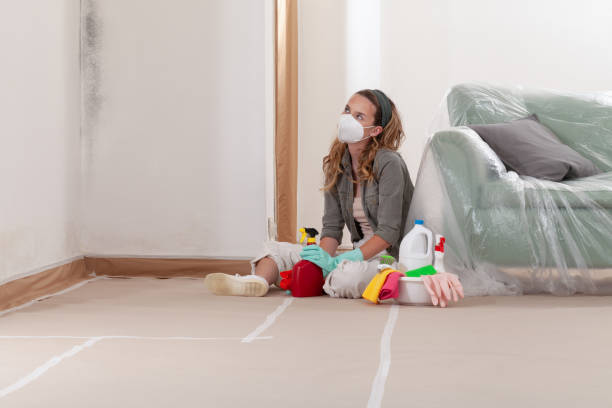 Reliable Commercial Mold Remediation contractor in Orviston, PA by WQB Mold Removal
